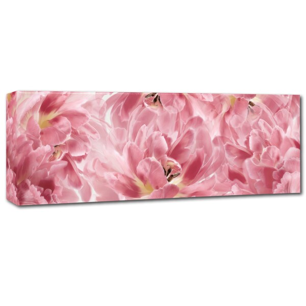 Cora Niele 'Pink Tulips Scape' Canvas Art,8x24